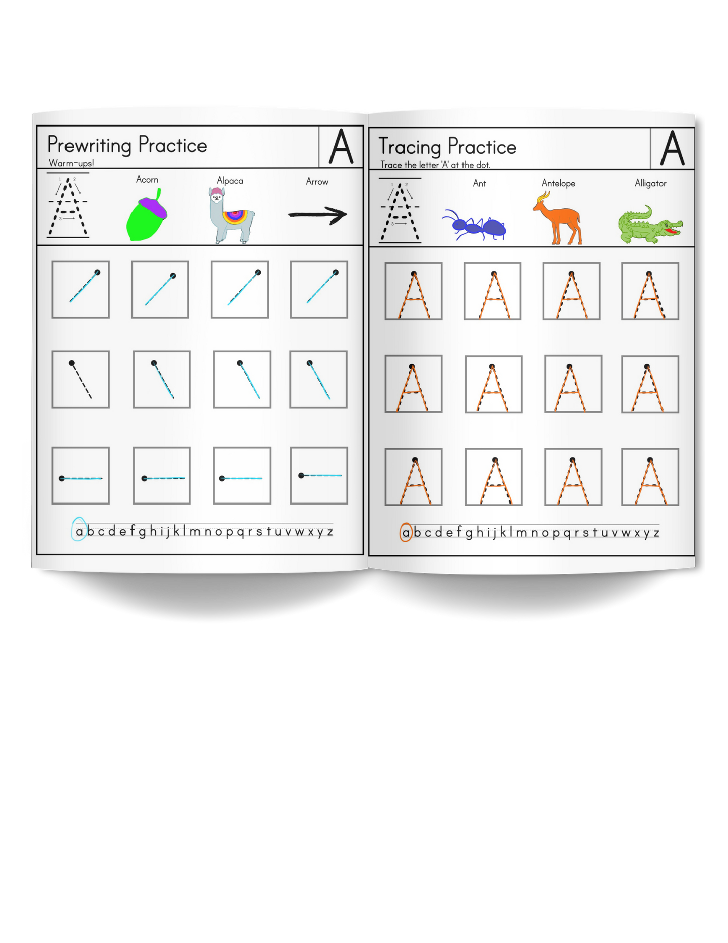 My Cool Handwriting Practice Workbook- Uppercase 3